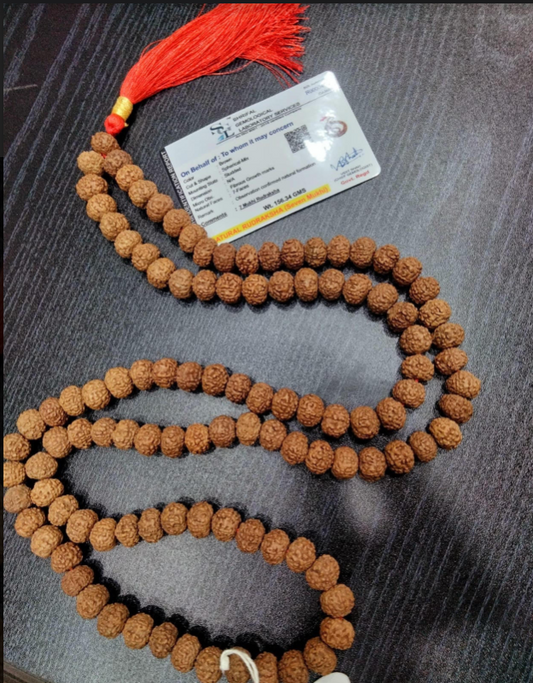 Rudraksha - Certified Authentic 8 Mukhi - 108 Mala beads - Enjoy FREE Shipping